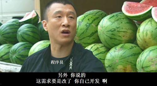 张京华吃瓜极速版,揭秘娱乐圈幕后故事  第1张